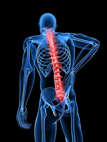 Spine Rehabilitation: Cervical, Thoracic & Lumbar Vargo Physical Therapy